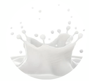 lactoferina